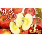 ふるさと納税 りんご 長野県 飯田市 人気の品種 長野県産りんご(サンふじ) 約3kg 秀品 2025年11月下旬〜12月中旬発送 | 果物 くだもの フルーツ りんご 林檎 …