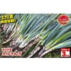 fu.... налог овощи вид лук порей Nagano префектура . рисовое поле город юг Shinshu производство земля имеется лук порей 3kg(600g×5 пакет ) JA... Shinshu DM центральный . рисовое поле город | земля имеется лук порей лук порей лук-батун овощи юг Shinshu свежий...