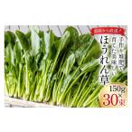 DH011 ほうれん草 150g×30束