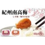 加工品等 梅干 ご 紀州南高梅 2種セット450g×2種