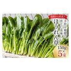 野菜類 CH009 ほうれん草 150g×5束