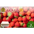 いちご 訳あり 鹿角産 すずあかね 約2kg