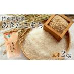 ふるさと納税 玄米 秋