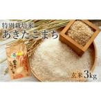 ふるさと納税 玄米 秋