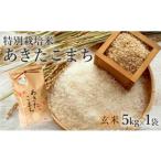 ふるさと納税 玄米 秋