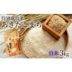 ふるさと納税 米 あき