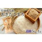 ふるさと納税 米 あき