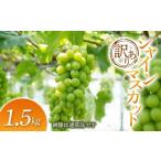 ふるさと納税 ぶどう マスカット 山形県 -  2026年発送 先行予約 訳あり シャインマスカット 1.5kg マスカット ぶどう ブドウ 葡萄 デザート フルーツ 果物 く…
