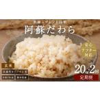 玄米 2ヶ月定期便 阿蘇だわら 20kg