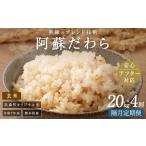 玄米 隔月4回定期便 阿蘇だわら 20kg