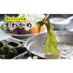 のり 海藻 わかめ とれたままを冷凍 柔らかく歯ごたえ抜群