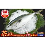 ふるさと納税 旬の鮮魚等 鹿児島県 長島町 茶ぶり 1尾（内臓処理済　約4kg） セミドレス (えら・内臓除去済み) ぶり 柵 刺身 ブリ 切り身 鰤 1本 鮮魚 下処理…