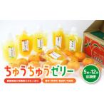 ふるさと納税 愛媛県 松山市 【大人気】 ちゅうちゅうゼリー 定期便 5個×12回 果汁ゼリー 柑橘 ゼリー みかん 果物ゼリー スイーツ 愛媛県 松山市 松山おすす…