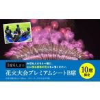 ふるさと納税 お祭り・イベント 熊本県 八代市 先行予約 限定10席 やつしろ全国花火競技大会 2025年10月18日(土)開催 プレミアムシートB席 (1席4人まで) 花火…