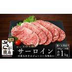ふるさと納税 肉 佐賀県 鹿島市 10月発送 牛サーロインステーキ(牛脂注入)100g×5枚×2袋 合計1kg 柔らかさとジューシーな味わいが自慢のお肉 B-615 10月発送