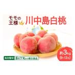 ふるさと納税 もも 秋田県 横手市 《先行受付 8月下旬より順次発送》モモの王様 川中島白桃 約3kg（9〜13玉前後）