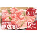 豚肉 炒め物 訳あり 産豚切落し5kg 500g×10P