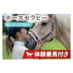 体験チケット ホースセラピー 癒しコース