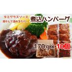 ショッピングふるさと納税 ハンバーグ ふるさと納税 肉 ハンバーグ 新潟県 長岡市 76-A4B湯せんで簡単 デミグラス煮込みハンバーグ 10個セット（170g×10個）