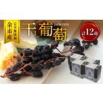加工品等 ボックス 余市産完全無添加干し葡萄DIONYSOS