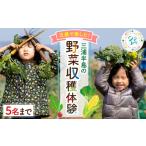 fu.... налог body . билет Kanagawa префектура Yokosuka город три . половина остров. овощи .. body . акционерное общество sitekobeAKDQ001