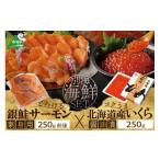 ふるさと納税 魚貝類 ホタテ 北海道 別海町 チョイス限定 サーモン ・ いくら 海鮮セット 刺身用サーモン 250g + 北海道産醤油いくら250g ふるさとチョイス …