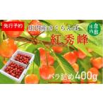 ショッピングふるさと納税 さくらんぼ ふるさと納税 果物類 さくらんぼ 山形県 三川町  先行予約 令和8年産 食の都庄内　庄内のさくらんぼ「紅秀峰」400gバラ詰め　 令和8年6月下旬〜7月上旬頃発送…