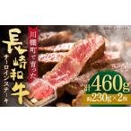 牛肉 サーロイン サーロインステーキ 長崎和牛 計460g