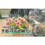 花 届いてすぐに飾れる 季節の寄せ植え