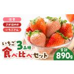 いちご 2027年1月~発送 3品種 食べ比べセット