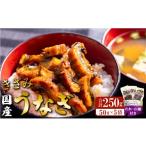 うなぎ きざみうなぎ 蒲焼き 5パック
