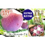 もも 2027年発送分 貴陽 3L−5L 6-7玉