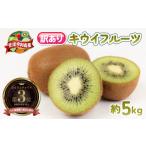 ふるさと納税 果物の詰合せ 愛媛県 宇和島市 訳あり キウイ フルーツ 4kg 杉本屋 わけあり グリーンキウイ ヘイワード キウイフルーツ デザート スイーツ 先行…