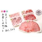豚肉 バラ 大満足 まごころ豚 お楽しみ セット 約1.5kg