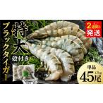特大 ブラックタイガー 無頭えび 1.7kg前後