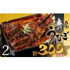 ふるさと納税 うなぎ 愛知県 田原市 すぐにお届け/冷凍 厳選 高級 青うなぎ 2尾 蒲焼 300g 冷凍/7日程度でお届け