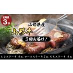 牛肉 ヒレ 定期便3回 山形産 山形牛ステーキ
