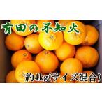 有田産不知火約4kg M~3Lサイズ混合