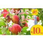 ふるさと納税 りんご 山形県 - 2025年先行予約 訳あり サンふじりんご 約10kg りんご リンゴ 林檎 デザート フルーツ 果物 くだもの 果実 食品 山形県 FSY-06…