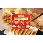 肉 \個性派ぎょうざ 生ぎょうざ専門店 新家