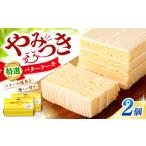 ※SWも通常発送※ 特選 バターケーキ 2個