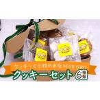 焼菓子 チョコレート クッキー Mon ami