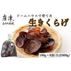 fu.... налог овощи вид .. . Saga префектура Karatsu город купол house .... иудино ухо 100g×8 пакет ( всего 800g)plipli еда чувство небольшое количество . сырой иудино ухо дерево уголок .. . кулинария кулинария 