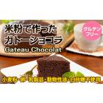菓子 チョコレート 小麦粉不使用 米粉で作ったガトーショコ…