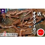 ふるさと納税 カニ ずわいガニ 北海道 浦河町 訳あり 活オオズワイガニ約2kg(8尾前後入) 02-1301