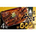 ふるさと納税 うなぎ 愛知県 田原市  土用の丑の日お届け／冷蔵 厳選 高級 青うなぎ 4尾 蒲焼 600g 《先行予約》冷蔵／土用の丑の日 お届け予約