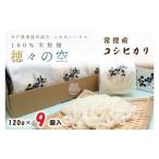 麺類 常澄産コシヒカリ100%米粉 穂々の空