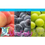 もも 夏のいいとこどり定期便 全3回 果物