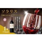 ふるさと納税 ワイン 赤ワイン 長野県 小諸市 ソラリス 千曲川 カベルネ・ソーヴィニヨン 750ml×1本 赤ワイン お酒 ぶどう酒 タンニン 完熟した香り 果実味 …