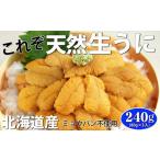ふるさと納税 ウニ 北海道 寿都町 無添加 北海道産天然塩水うに80g×3p (YS032)